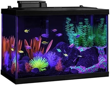 GloFish 20 Gallon Aquarium Desktop Cycle Light And Hidden Filtration Aquarium Kit