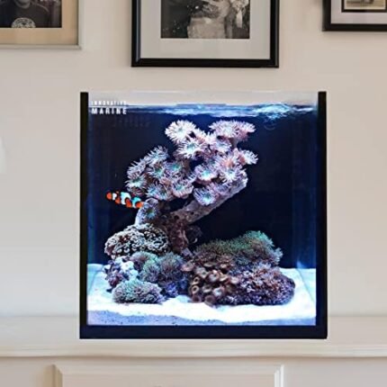 Innovative Marine Starter Kit Aquariums (15 Gallon Cube)